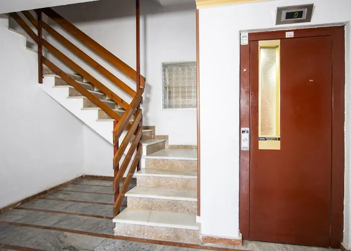 Alegria Id99 Torrevieja