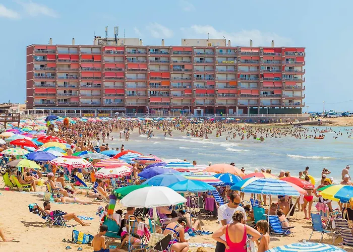 Alegria Id99 Apartamento *