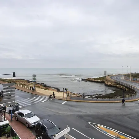 Alegria Id99 * تورّيفيِخا